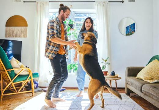 man and woman dancing with dog