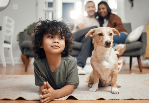 Little boy with his dog in the living room