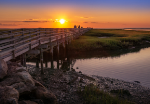 boardwalk over marsh at Cape Cod