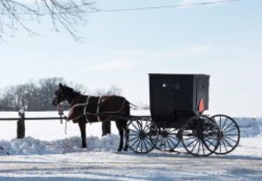 Horse and buggie in amish country during winter in PA