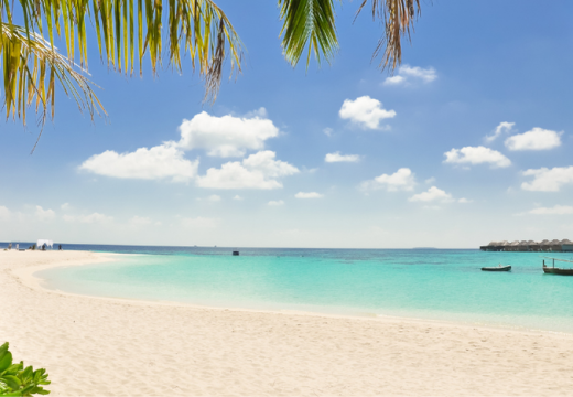 Carribean beach shore