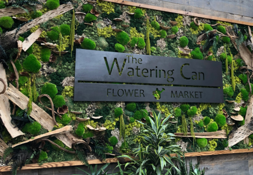 the watering can logo on a moss and driftwood background