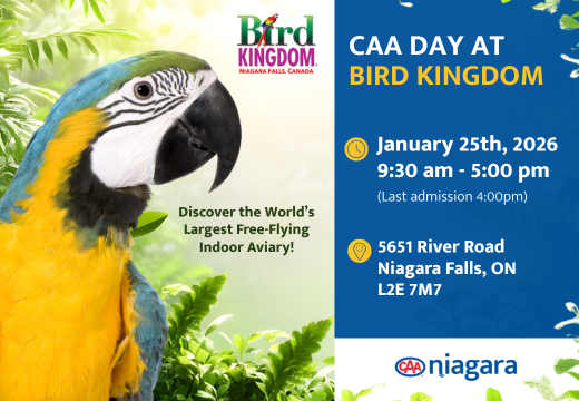 CAA Day at Bird Kingdom