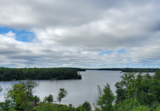 The Muskoka River