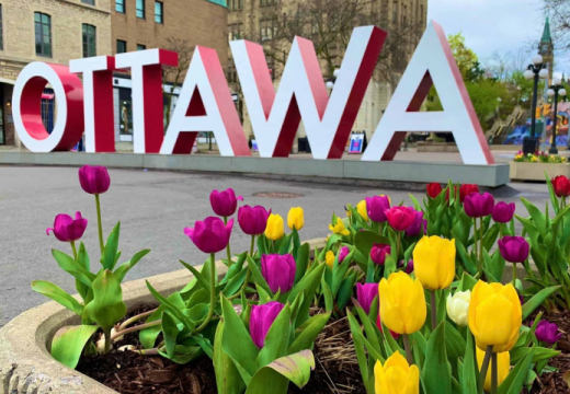 Tulip Time in Ottawa