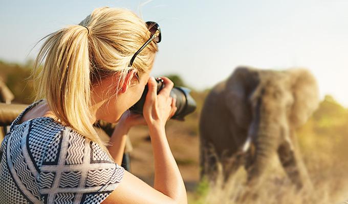 African Safari
