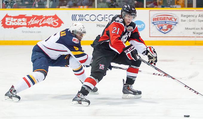Niagara IceDogs