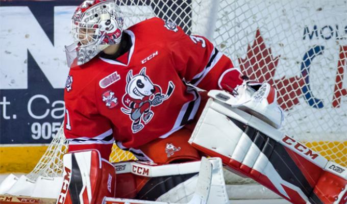 Niagara IceDogs Goalie defending the net