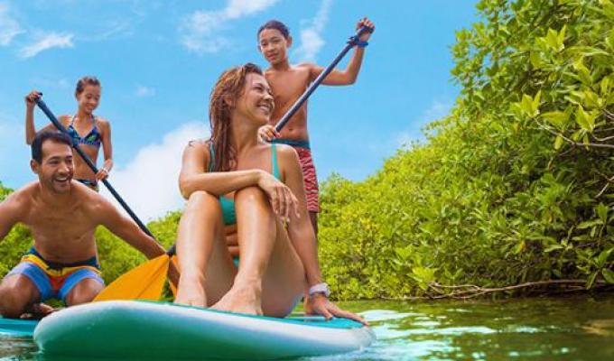 Royal Caribbean Cruises