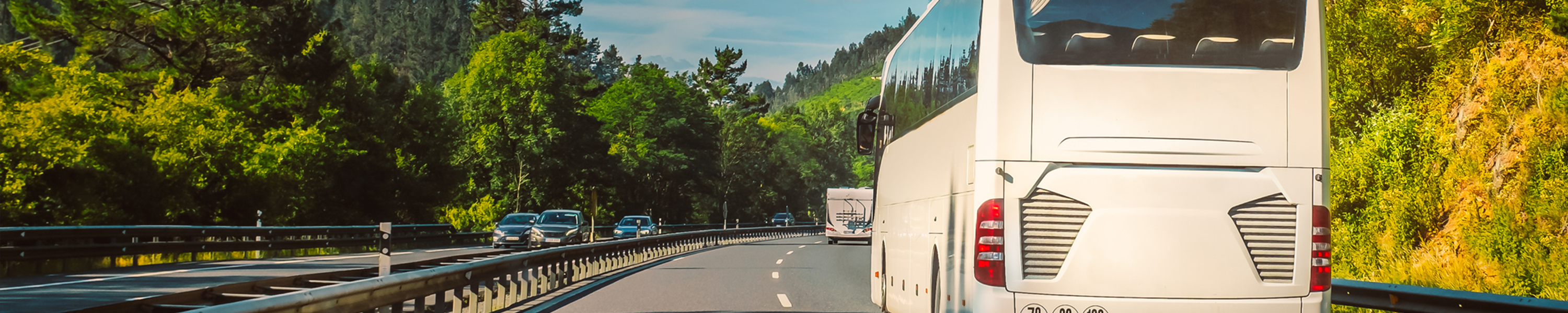 CAA Group Tours Commitment