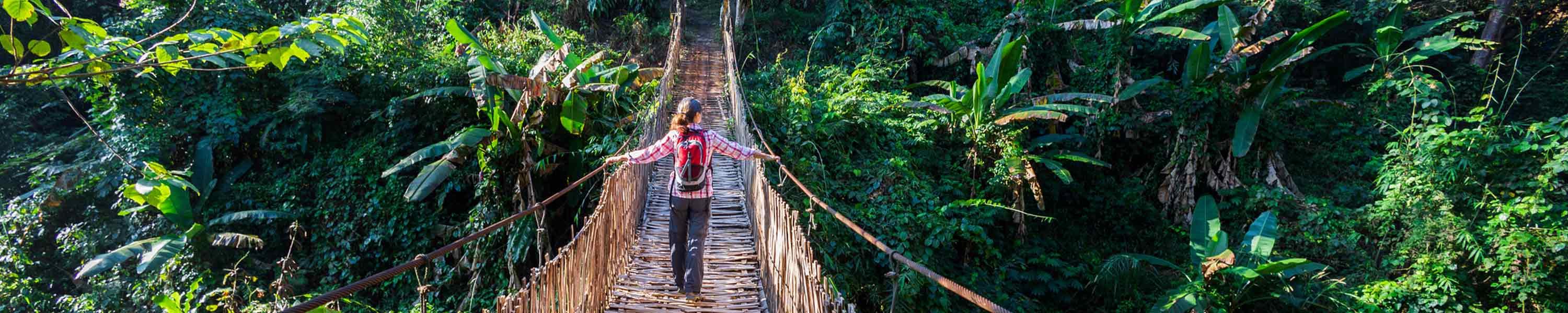 Woman with backpack on suspension bridge in rainforest-Thailand