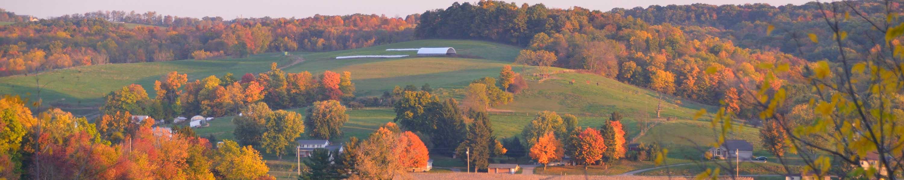 Ohio Fall Colours & Amish Experience