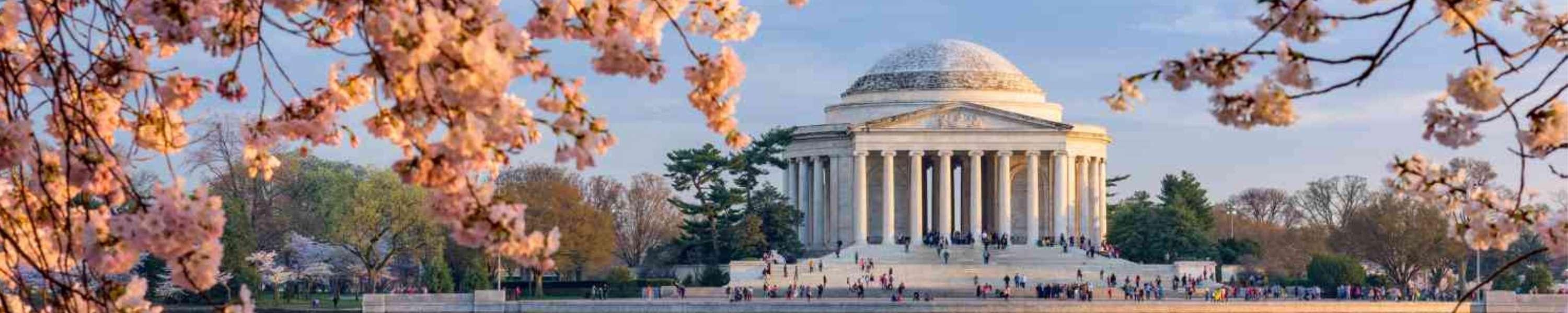 Capitol Hill in Washington DC during Cherry Blossom season