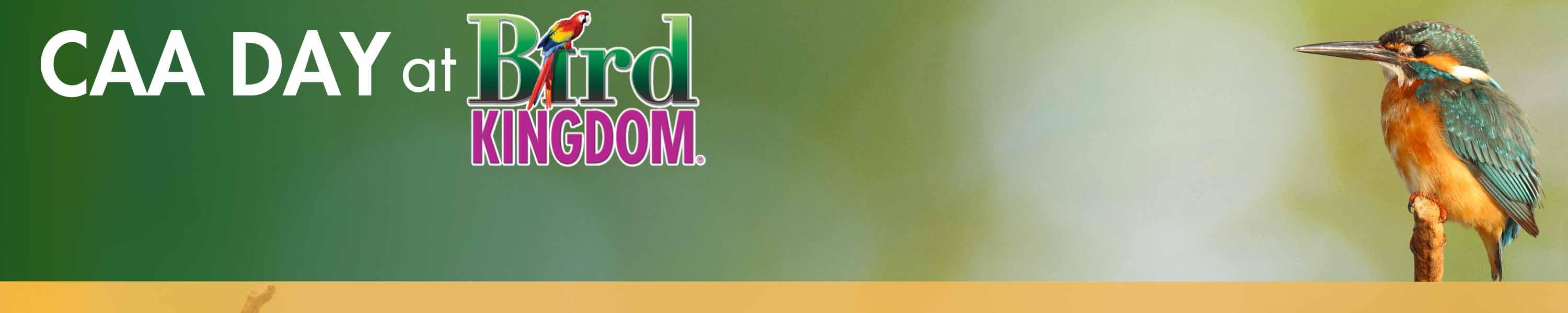 bird kingdom logo with image of bird