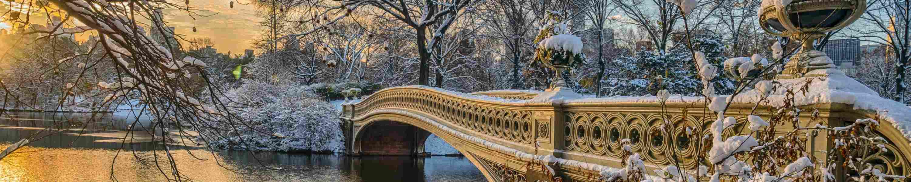 Bow bridge in Central Park 