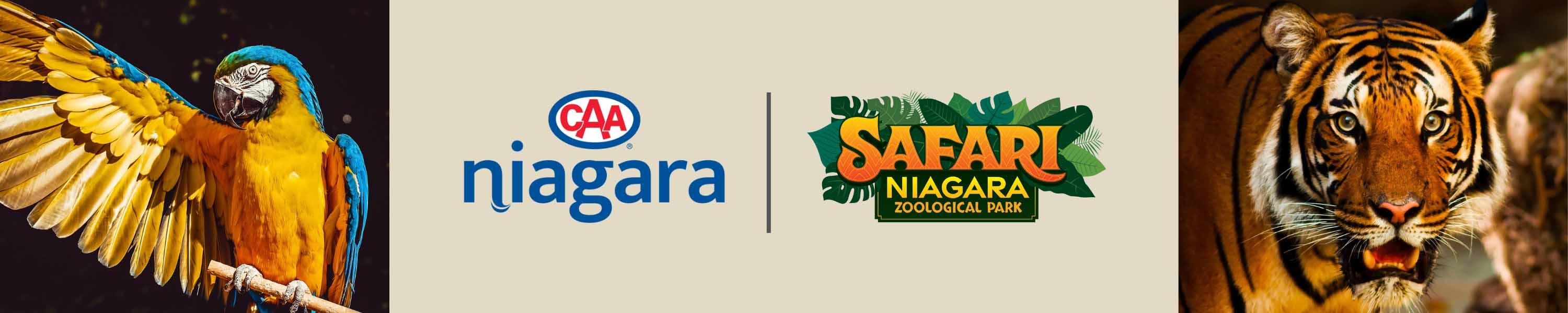 Photo of a tiger and a macaw with CAA and Safari Niagara logos