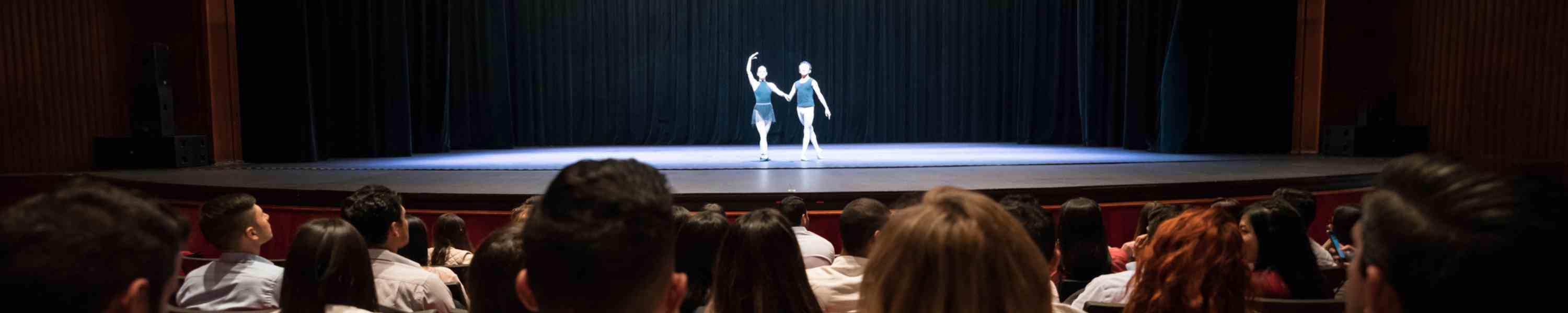 People in a theatre looking at ballet