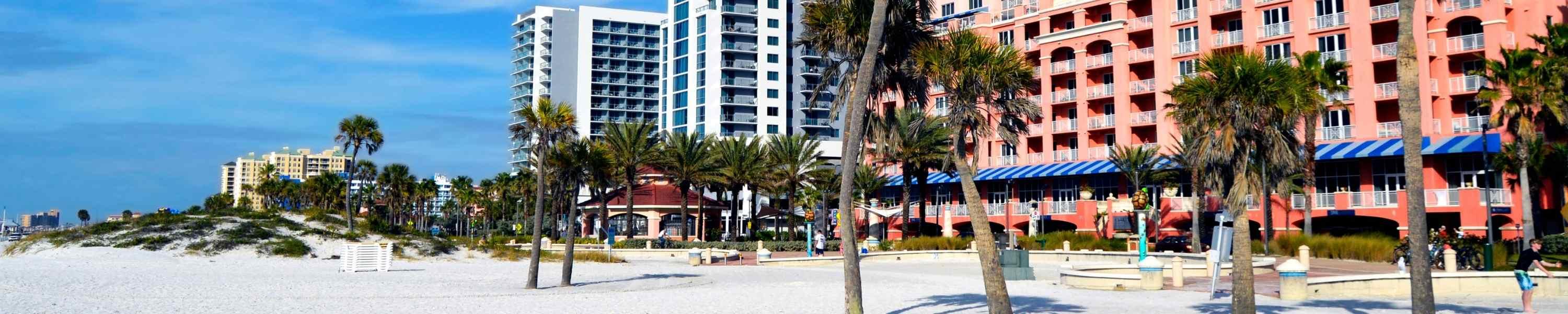 Sand and palm trees with hotels in the background on Clearwater Beach