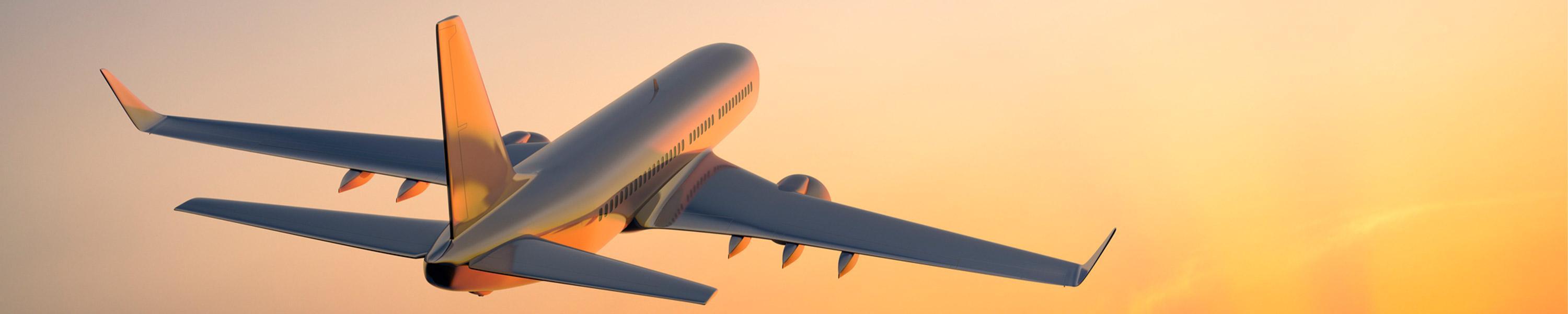 Airplane in the sky