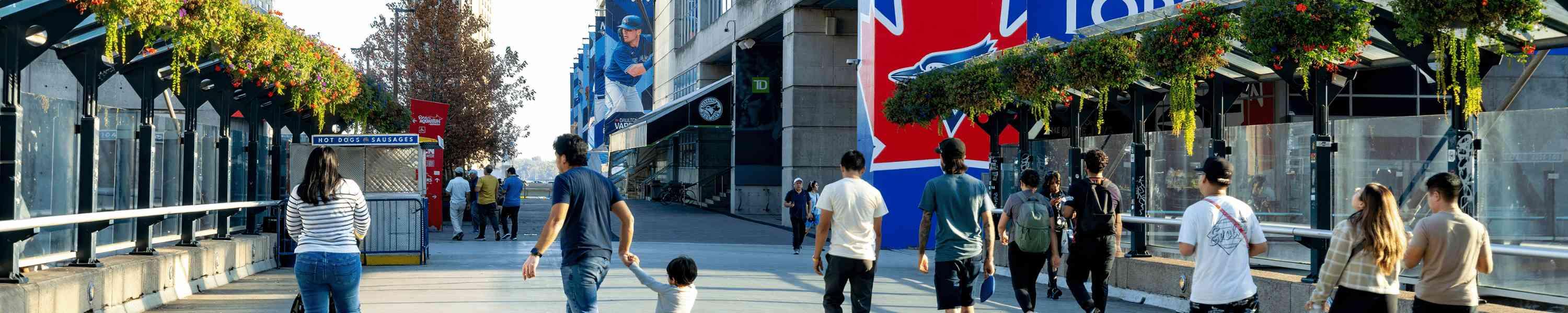 Blue Jays Overnight