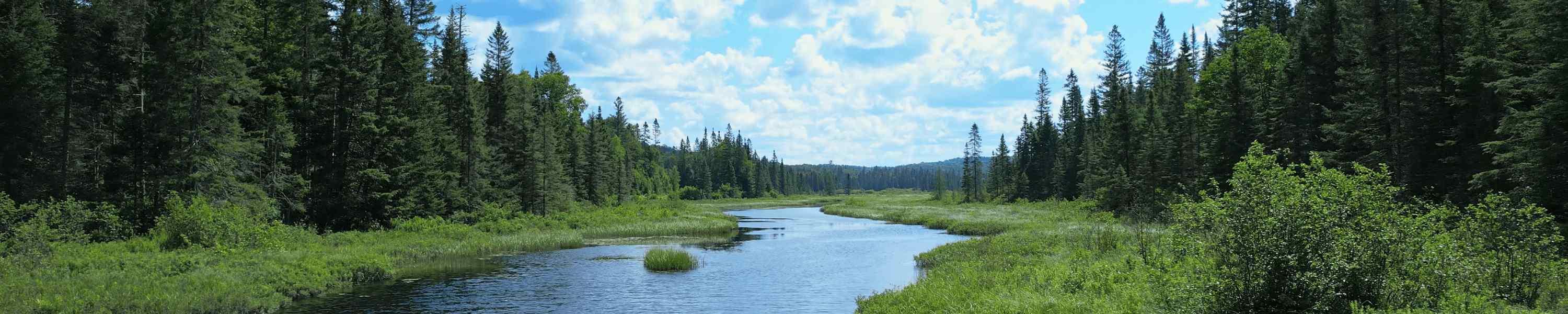 Grand River