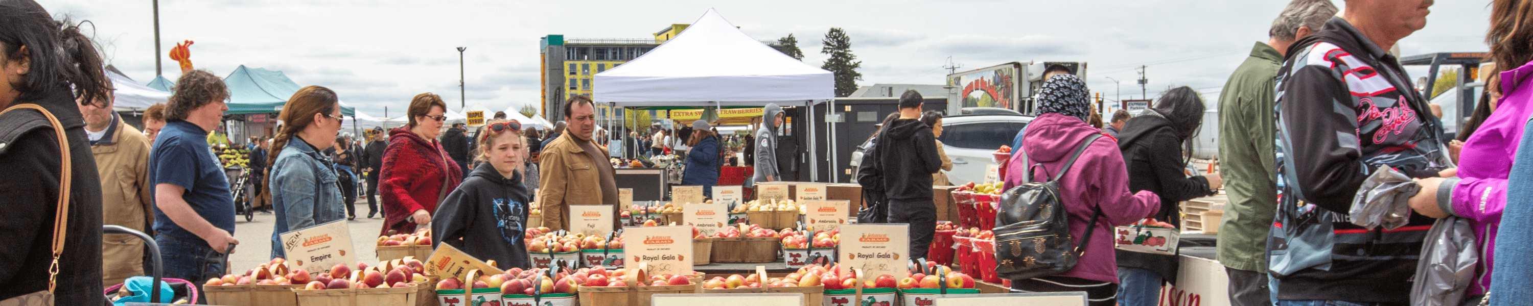Farmer's Market