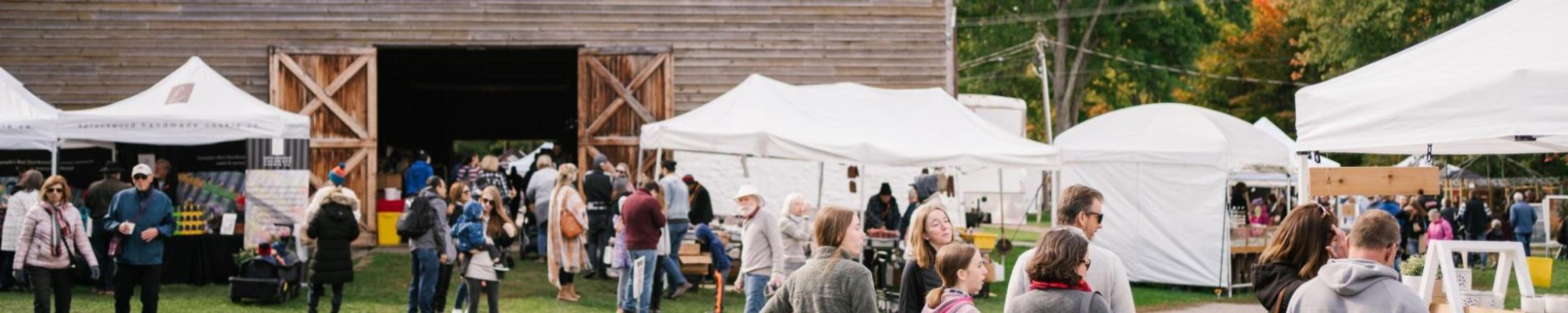 Ball's Falls Festival