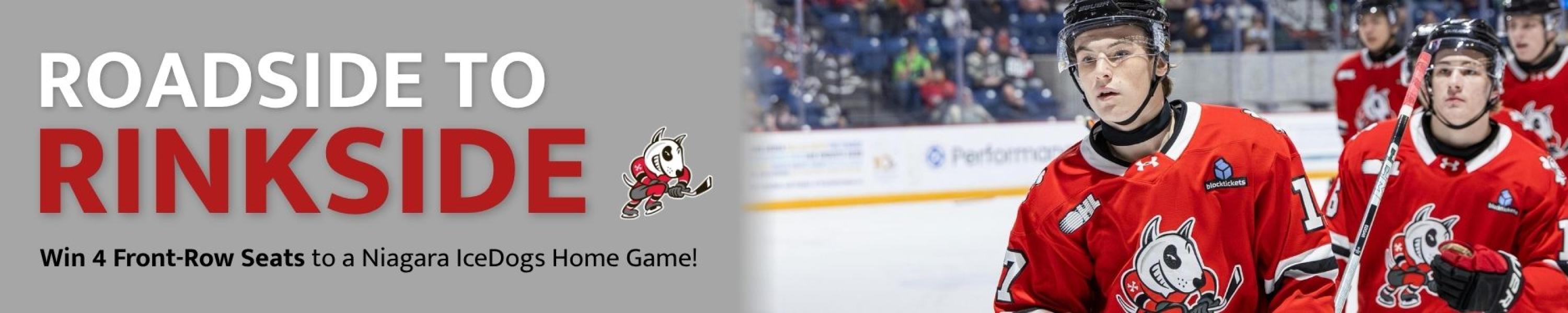 Roadside to Rinkside with the Niagara IceDogs