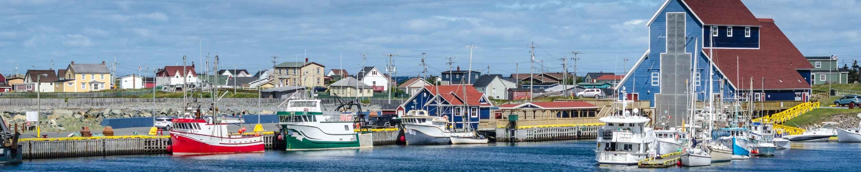 boats along the coastline in Newfoundland