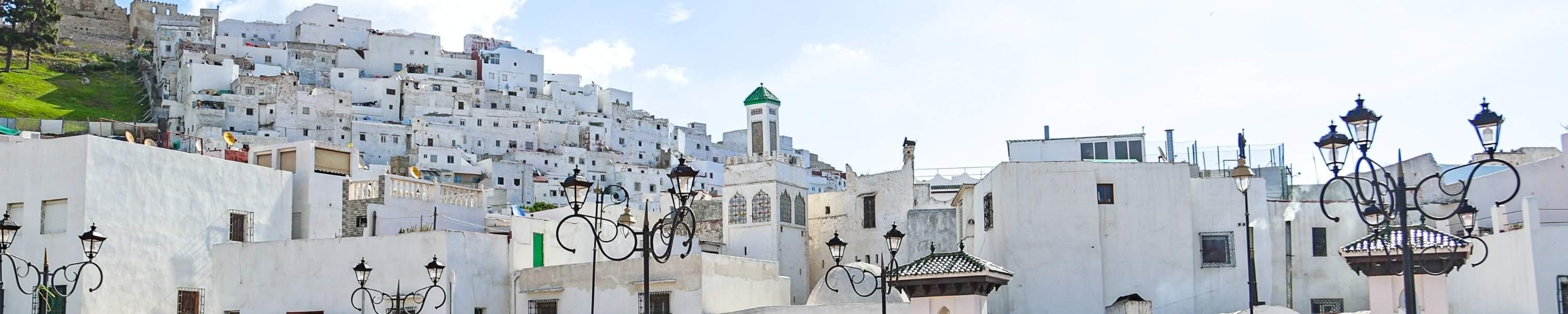 a panoramic view of Tetouan’s historic medina, showcasing densely packed white buildings cascading down the hillside.