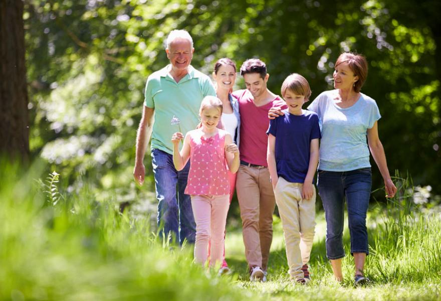 CAA Niagara Life Insurance