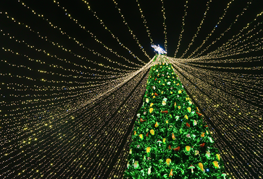 Solo Holiday Social Day Tour