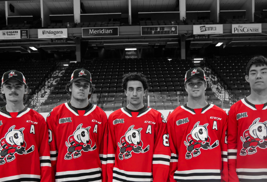 IceDogs