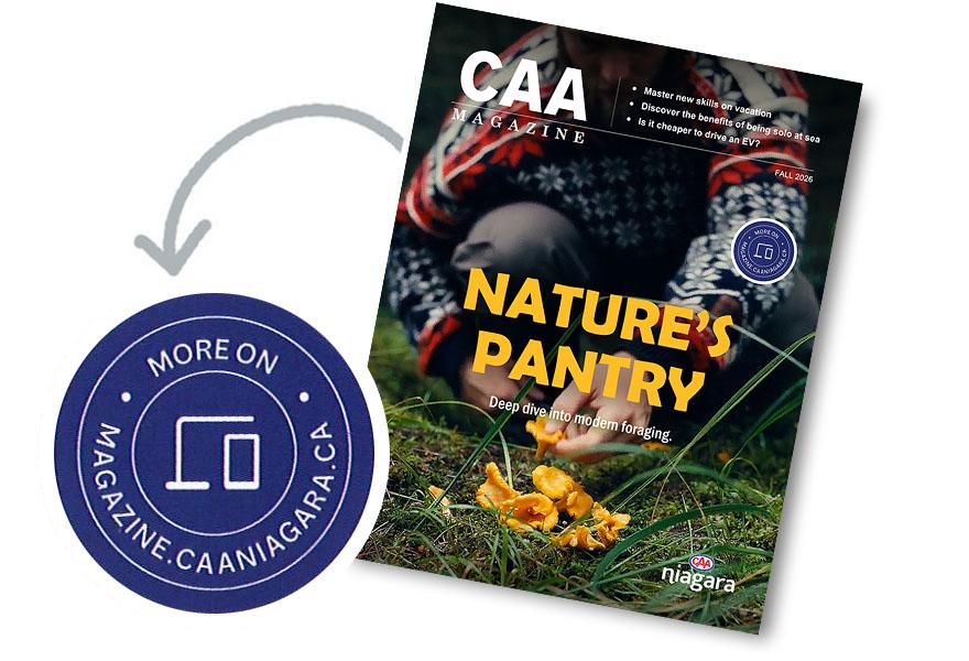 CAA Magazine - Digital