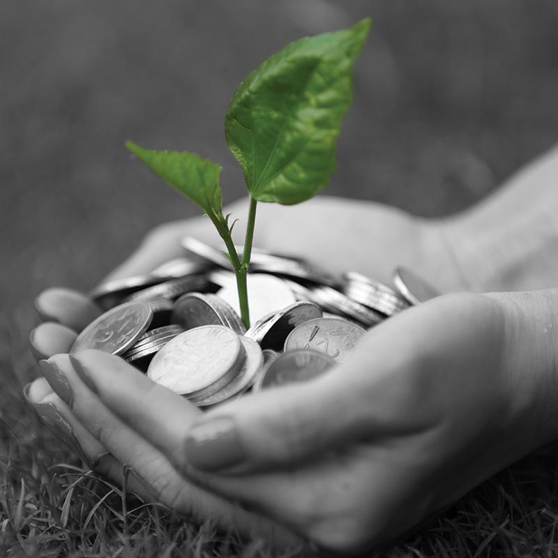 community growth