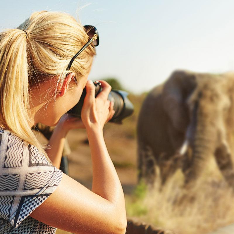 Woman on African safari 