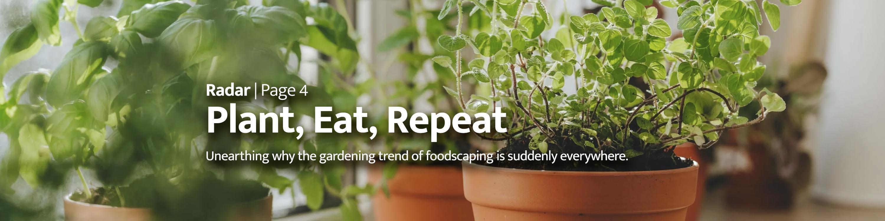 Radar - Plant, Eat, Repeat