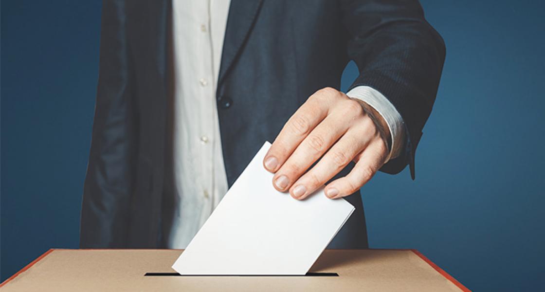 election