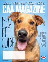 CAA Magazine New Pet Guide. Tips for welcoming a furry friend into your family.