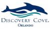 CAA-Niagara_Discovery-Cove-Logo
